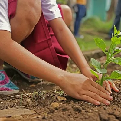 Environnement : 800 arbres plantés par des enfants dans l’Hérault
