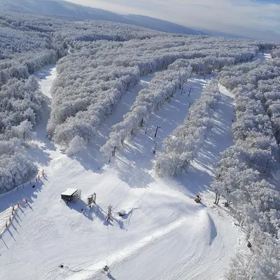 Gard : La station de ski du Mont Aigoual lance une cagnotte pour...