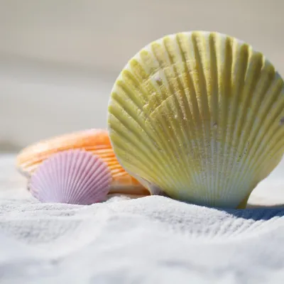 Arnaques estivales : comment les éviter pour des vacances sans...