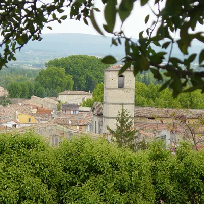 Hérault : Une septuagénaire marche 300 km pour sensibiliser à la...