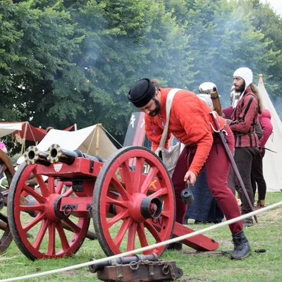 La cour bourguignonne s'installe au parc Asnapio