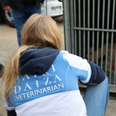Pairi Daiza cherche des saisonniers
