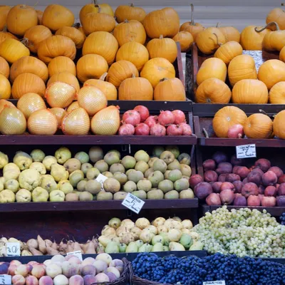 Ouverture d'une épicerie solidaire à Roubaix