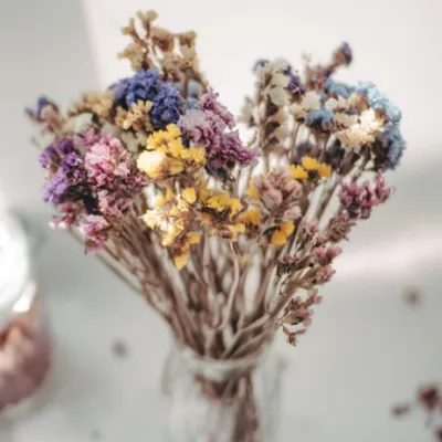 Grande vente de fleurs séchées dès aujourd'hui au Grand Playground