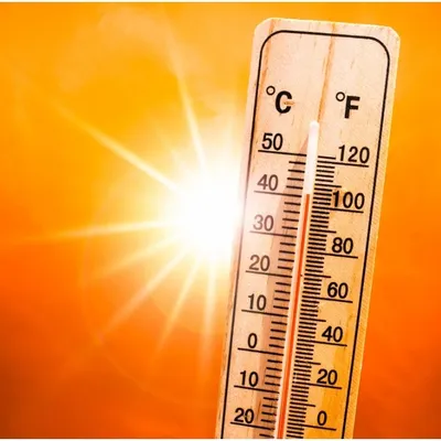 La ville de Lille s'adapte à la canicule 