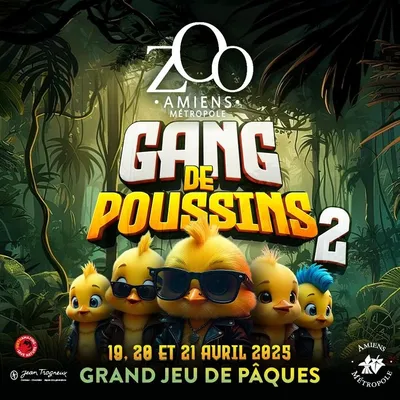 Un « Gang de poussins » débarque au zoo d'Amiens ce week-end ! 