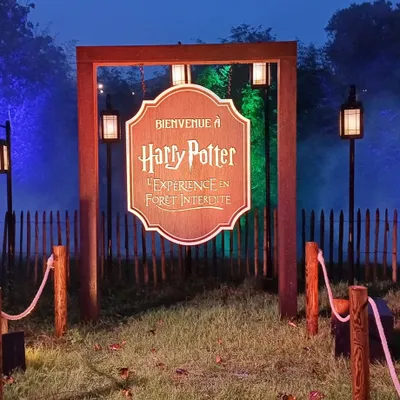 Montauban abandonne l’idée d’un grand festival pour cet hiver