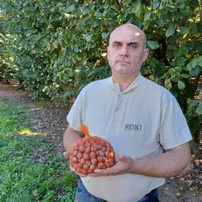 Tarn-et-Garonne : la récolte de noisettes est catastrophique