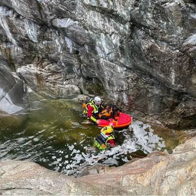 Les pompiers ont sauvé deux chiens en mauvaise posture