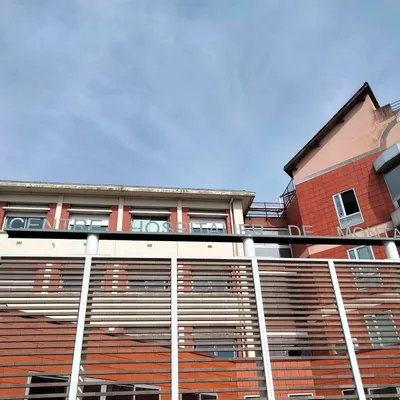 Montauban : le futur hôpital menace t-il des zones humides ?
