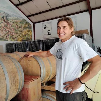 Le mildiou complique la récolte dans le vignoble de Cahors