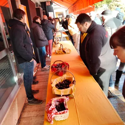 Lalbenque vs L'Hospitalet : la guerre des truffes est déclarée ?