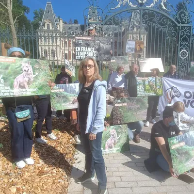 Les pro-loups mobilisés en Corrèze