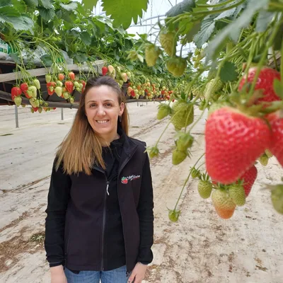 A Saint-Porquier le printemps ramène sa fraise