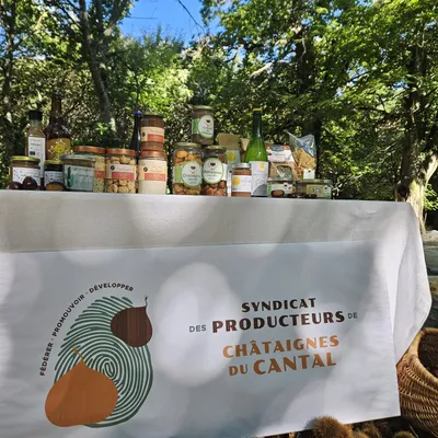 Un nouvel élan pour la filière castanéicole dans le Cantal