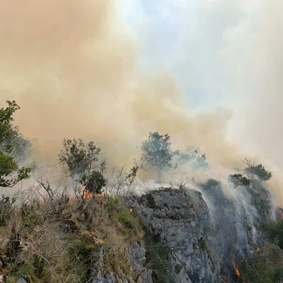 77 hectares partis en fumée, le feu de Sauliac-sur-Célé désormais fixé