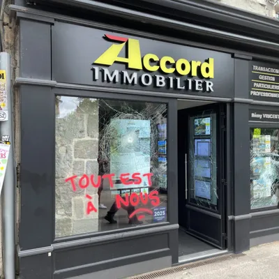 "Casseurs, venus pour attaquer la France" : que sait-on sur les...