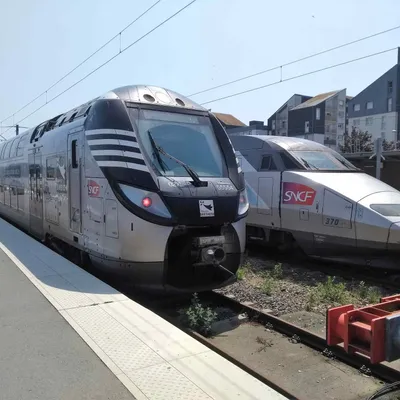 Le trafic SNCF paralysé dans le sud Bretagne par une souche d’arbre