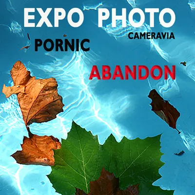 Expo photo à Pornic !