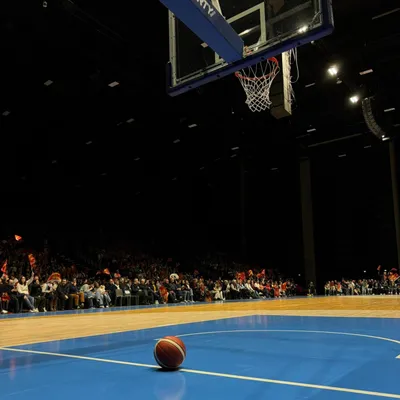 Basket : les Alençonnaises s'installent définitivement à Anova