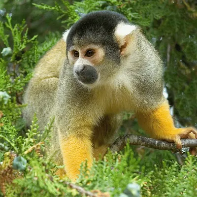 Gagnez vos entrées au Zoo des Sables d'Olonne !