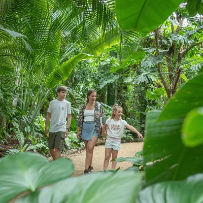 Gagnez vos entrées à Terra Botanica !