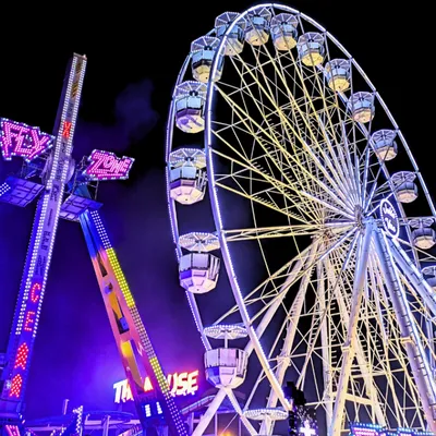Perpignan : La Foire Saint Martin démarre ce Week-end ! 