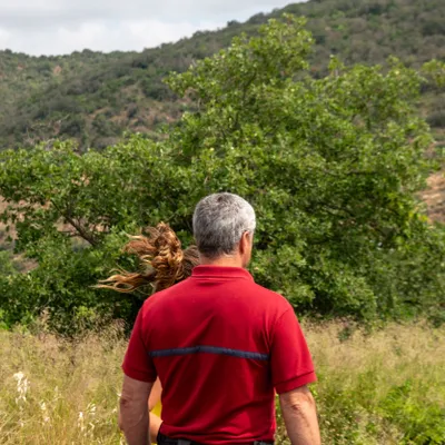 Les Pyrénées-Orientales s’apprêtent à subir leur première canicule...