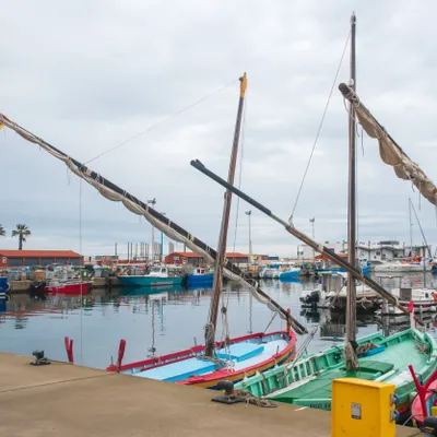 Festa Catalana 2025 : Banyuls-sur-Mer fait vibrer les...