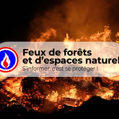 Feux de Forêts : l’application née dans les Pyrénées-Orientales qui...