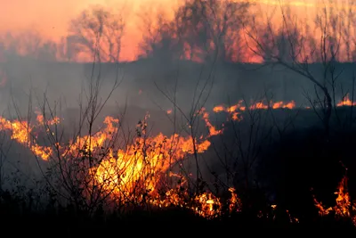 Loire : une cinquantaine de pompiers mobilisés pour un feu de ferme