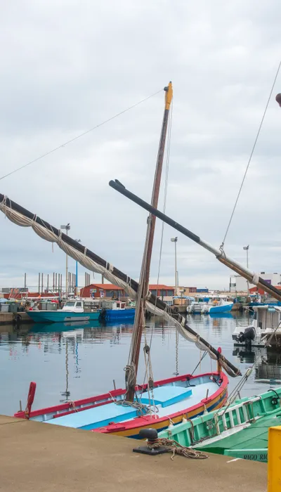 Festa Catalana 2025 : Banyuls-sur-Mer fait vibrer les...