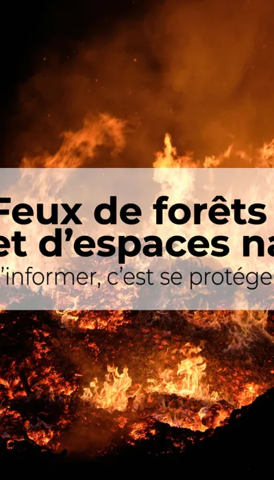 Feux de Forêts : l’application née dans les Pyrénées-Orientales qui...