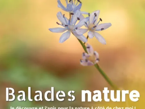 MARCHAINVILLE (61) - Nature : Les trames écologiques, toile de fond...
