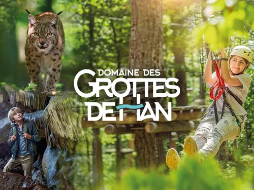 L’accrobranche "Tree Experience" : la nouvelle aventure du Domaine...