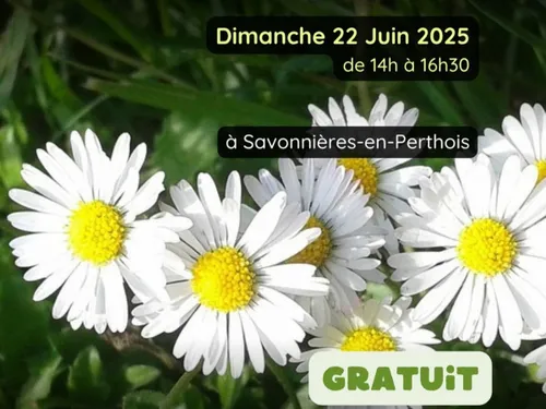L'invité du jour : on vous dit tout sur une balade pour mieux...
