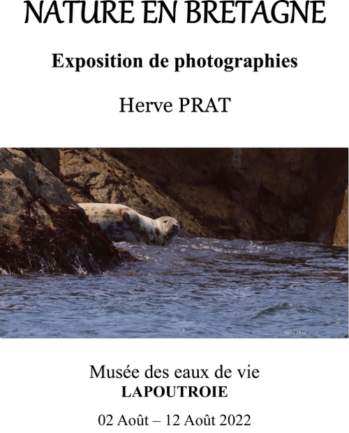 Exposition de photographies Nature en Bretagne