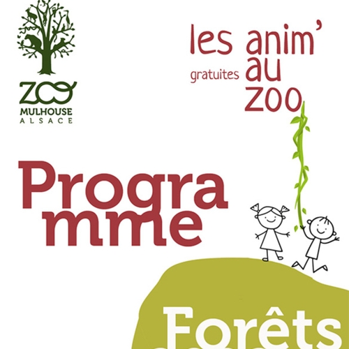 Un été animé au Parc zoologique et botanique de Mulhouse !