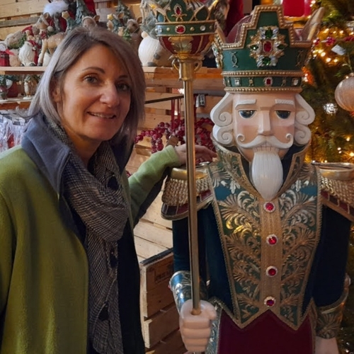 Noël en Alsace | Un marché du sapin à Altkirch