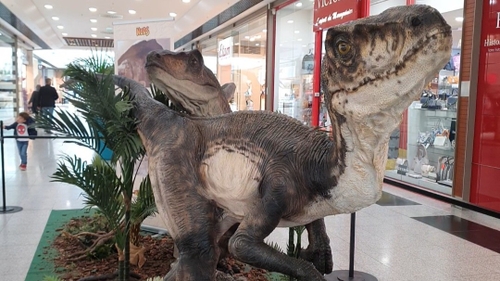 En vidéo : des dinosaures au centre commercial Grand Quetigny