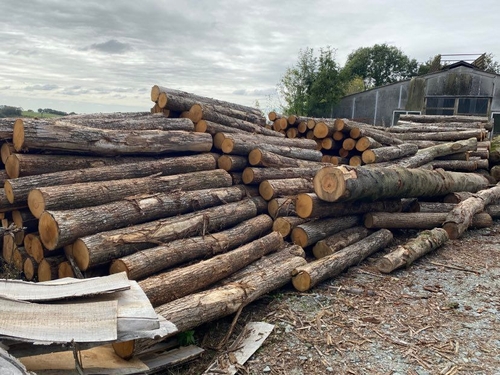 La filière bois veut se développer dans l’ouest