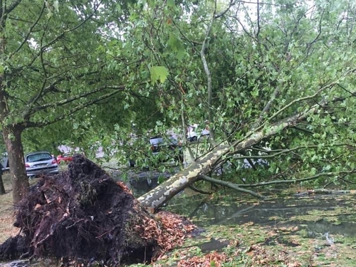 EN IMAGES : Les dégâts suite au passage de l'orage dans la Loire 