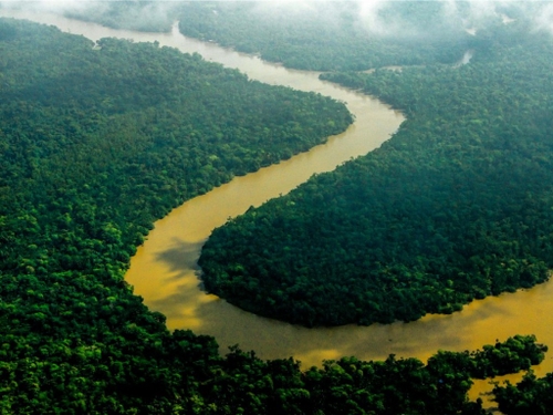 COP26: les peuples autochtones plaident pour la préservation de 80%...