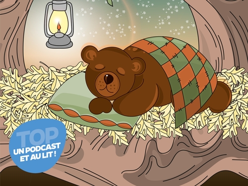 Drôle de nuit chez les ours - Un podcast et au lit !