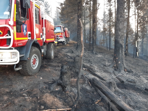 Les Vosges frappées par un important feu de forêt (actualisé)