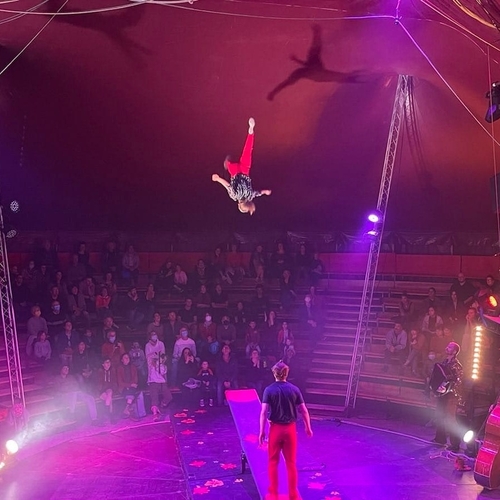 [PODCAST] Circus I love you : pas d'animaux mais du show !
