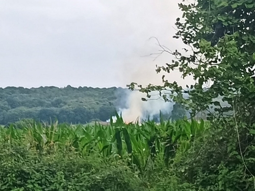 Sainte-Sabine-sur-Longève : le hangar agricole prend feu