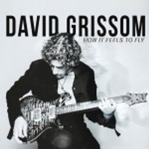 David Grissom - How it Feels to Fly