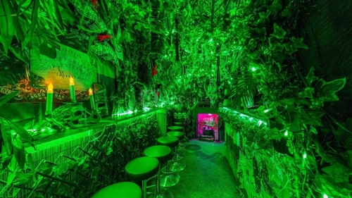 Un bar insolite à Paris vous immerge dans une jungle amazonienne