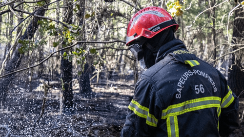 Incendies en Bretagne : plus de 400 hectares ont brulé ce week-end